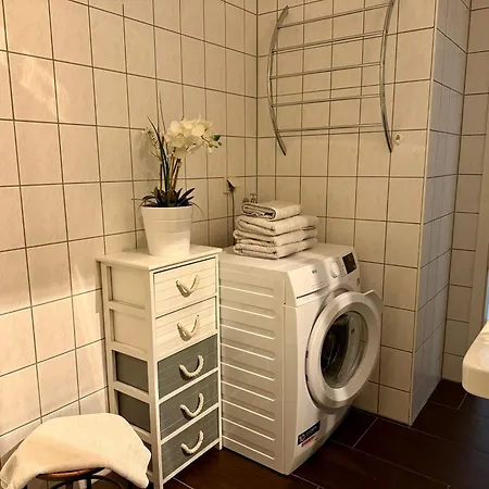 Ferienwohungen Und Haus Zum Schwan Daire Arnstadt